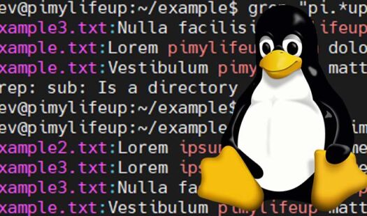 How to use the grep Command Thumbnail