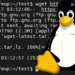 How to use the wget command
