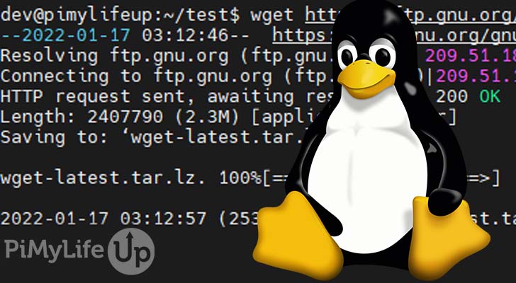 How to use the wget command