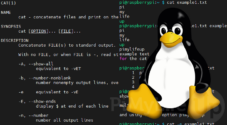 Using the cat Command in Linux - Pi My Life Up