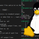 cat command on linux