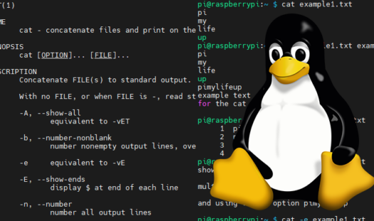 Using the cat Command in Linux Thumbnail
