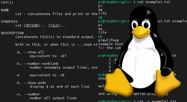 The Basics of the chown Command - Pi My Life Up