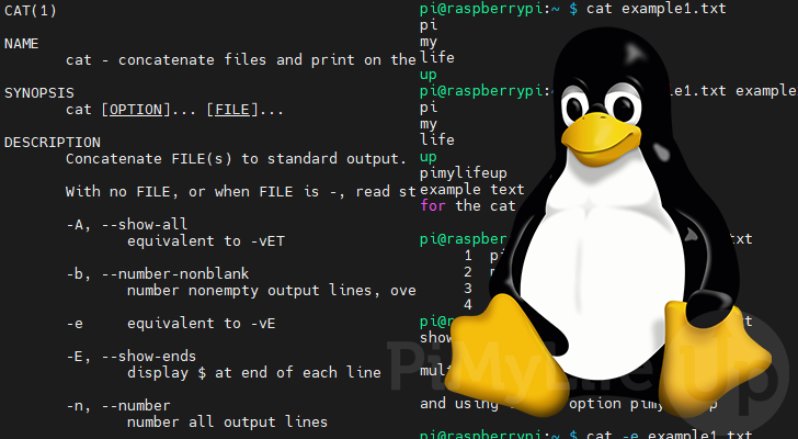 cat Command on Linux