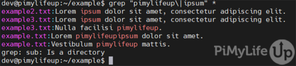 How to use the grep Command - Pi My Life Up