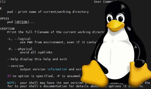 How to Use the pwd Command on Linux Thumbnail