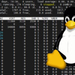 Using the top command on Linux