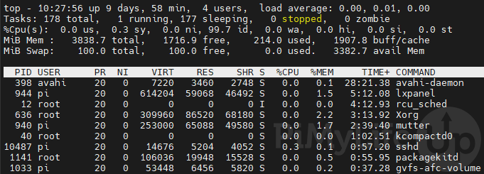 Sort Processes by CPU Time within the top Command