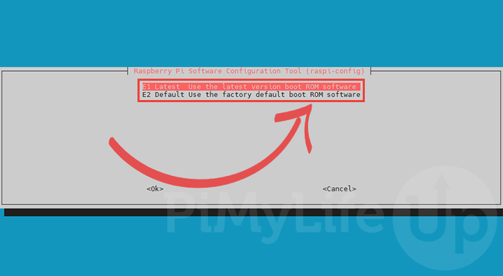 Select the Raspberry Pi Bootloader Release