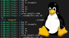 bg command on Linux