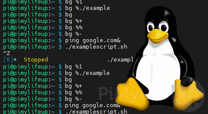 bg command on Linux