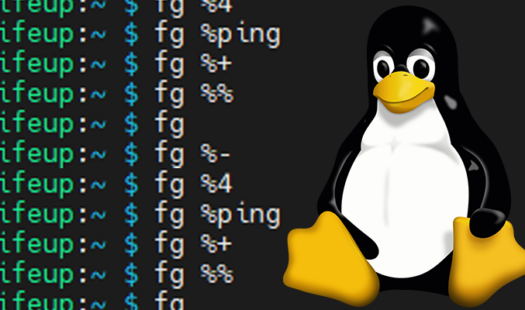 Using the fg Command on Linux Thumbnail