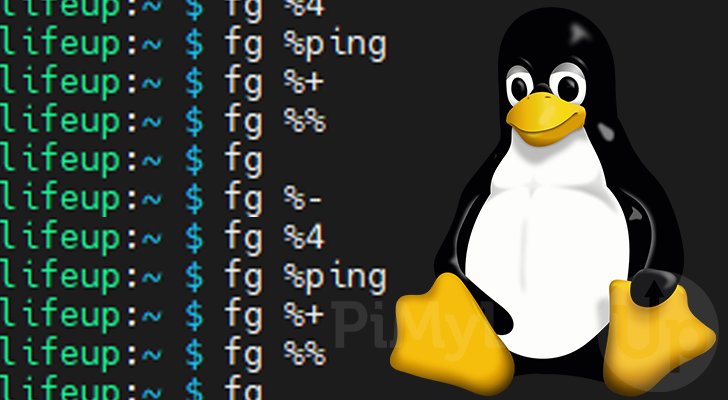 fg command on Linux