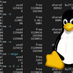 free command on Linux