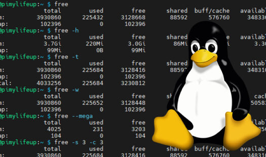 Using the free Command on Linux Thumbnail