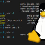 jobs command on Linux
