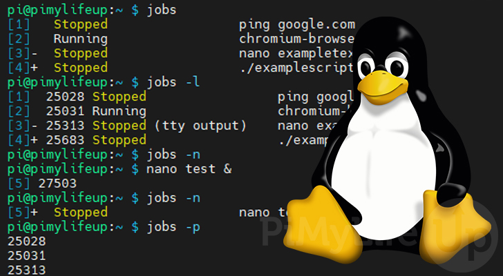 jobs command on Linux