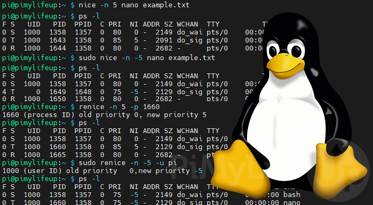 nice and renice command on Linux