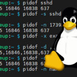 pidof command on Linux
