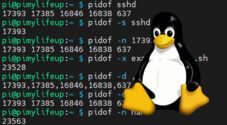 pidof command on Linux