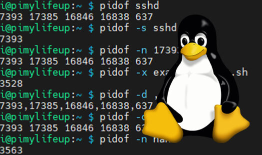Using the pidof Command on Linux Thumbnail