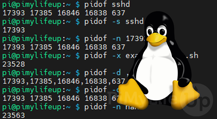 pidof command on Linux