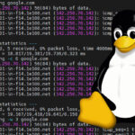 Using the ping command on Linux