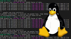 Using the ping command on Linux