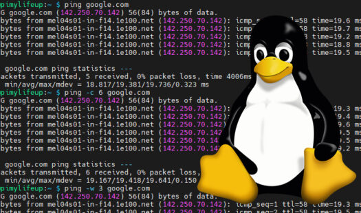 Using the ping Command on Linux Thumbnail