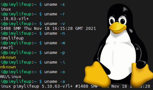 How to use the uname Command on Linux Thumbnail