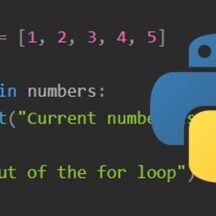 Python if, else, elif Conditional Statements - Pi My Life Up