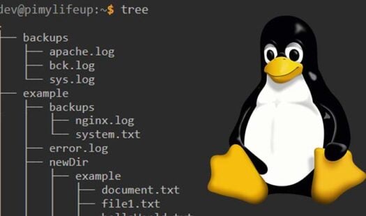 How to use the tree Command on Linux Thumbnail