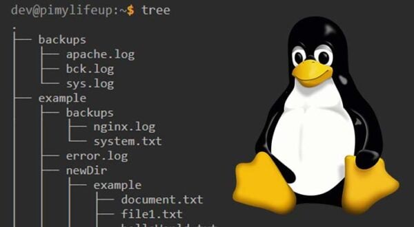 How to use the less Command - Pi My Life Up