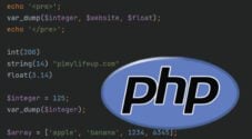 PHP var_dump function