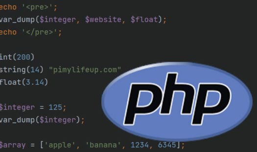 Using the var_dump function in PHP Thumbnail