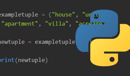 How to Use Python Tuples Thumbnail