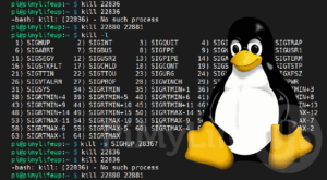 How to use the Kill Command in Linux - Pi My Life Up