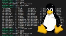 kill command on Linux