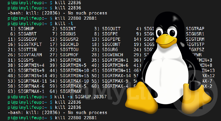 How To Use The Kill Command In Linux Pi My Life Up