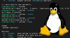 uptime Command on Linux
