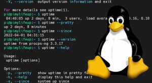 Using the sleep Command in Linux - Pi My Life Up