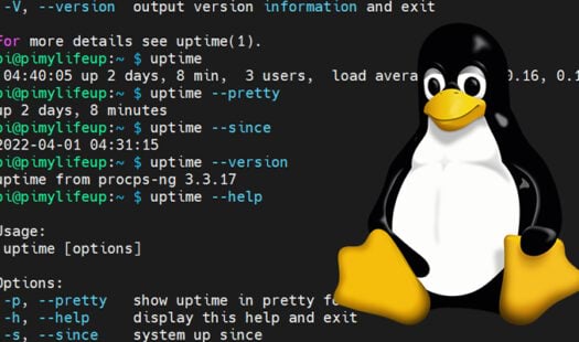 Using the uptime Command on Linux Thumbnail