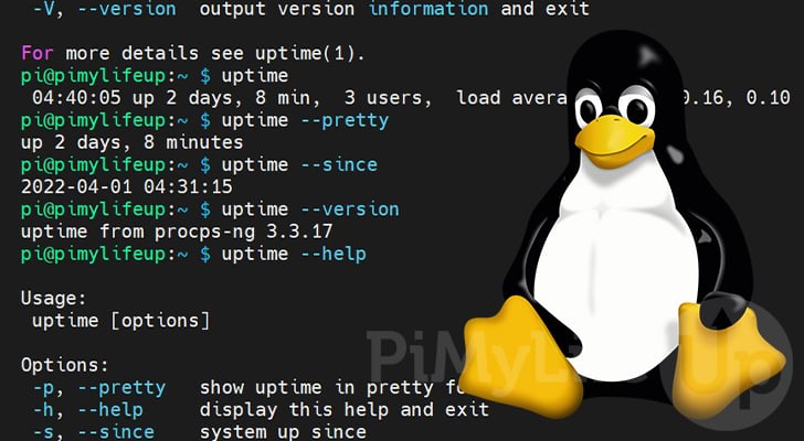 uptime Command on Linux
