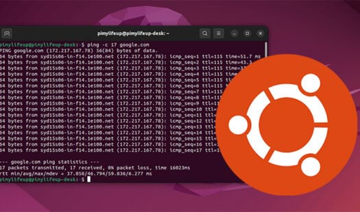 How to use the ping Command on Ubuntu Thumbnail