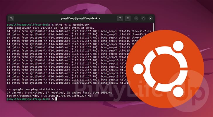 ping command on Ubuntu