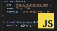 Writing a for...in Loop in JavaScript - Pi My Life Up