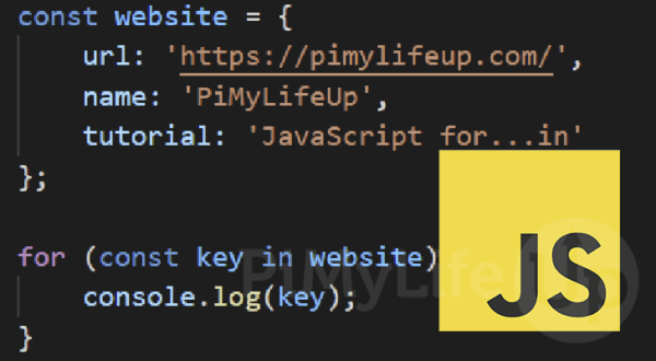 Writing a for...in Loop in JavaScript - Pi My Life Up