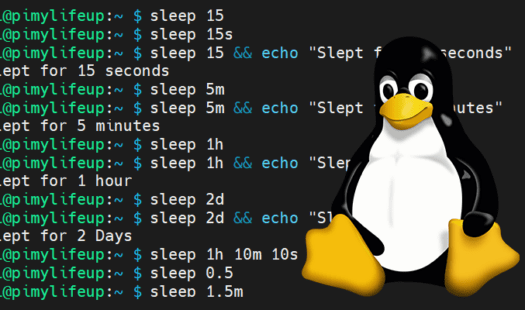 Using the sleep Command in Linux Thumbnail