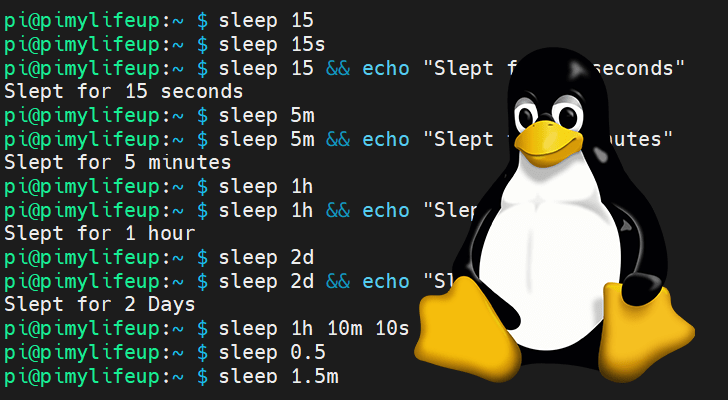 using-the-sleep-command-in-linux-pi-my-life-up