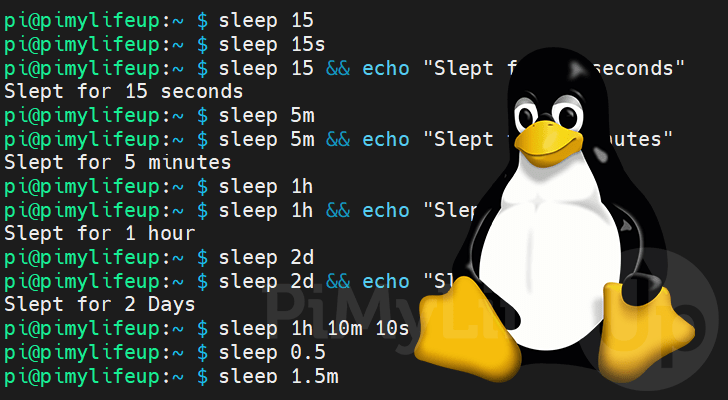 sleep command on Linux